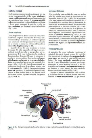 Embriologia Lagman 11 Edicion