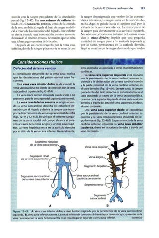 Embriologia Lagman 11 Edicion