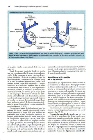 Embriologia Lagman 11 Edicion