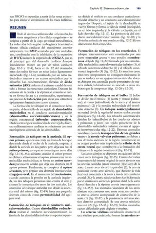 Embriologia Lagman 11 Edicion