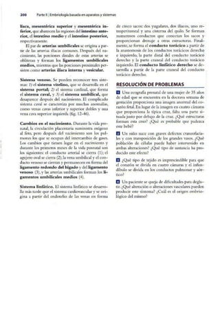 Embriologia Lagman 11 Edicion