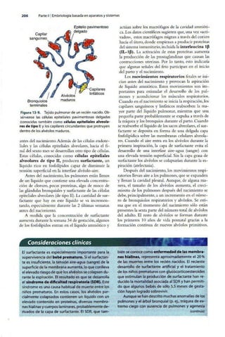 Embriologia Lagman 11 Edicion