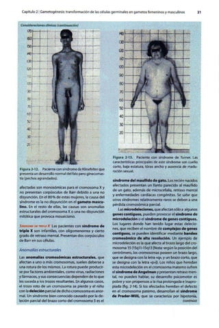 Embriologia Lagman 11 Edicion