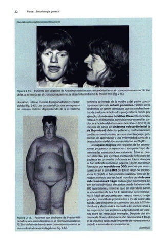 Embriologia Lagman 11 Edicion