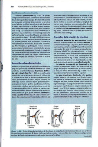 Embriologia Lagman 11 Edicion