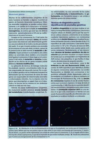 Embriologia Lagman 11 Edicion