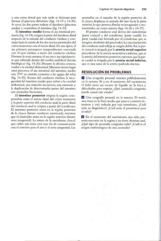 Embriologia Lagman 11 Edicion