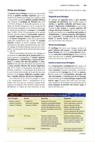 Embriologia Lagman 11 Edicion