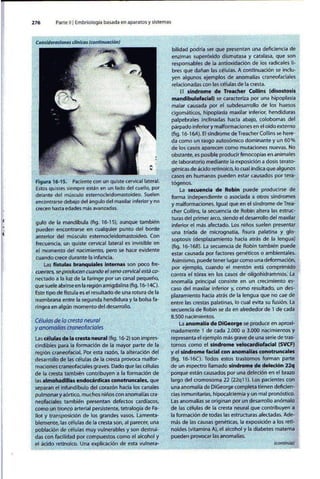 Embriologia Lagman 11 Edicion