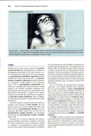 Embriologia Lagman 11 Edicion