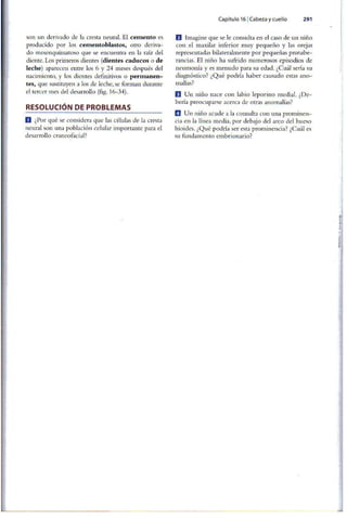 Embriologia Lagman 11 Edicion