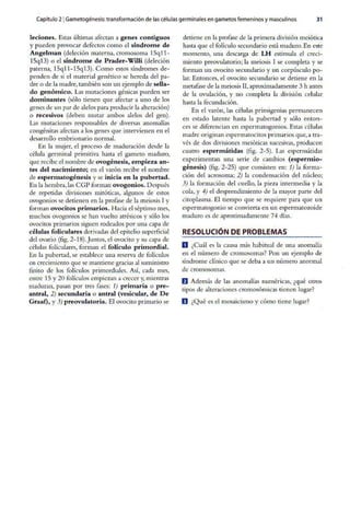 Embriologia Lagman 11 Edicion