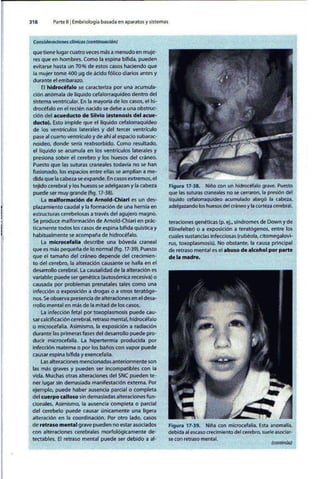 Embriologia Lagman 11 Edicion