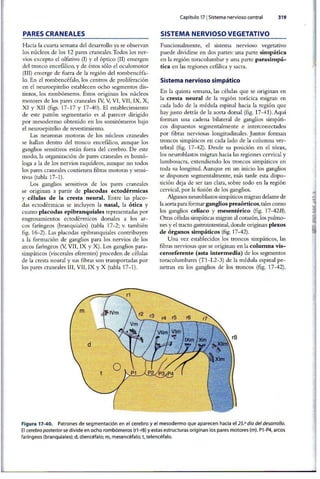 Embriologia Lagman 11 Edicion