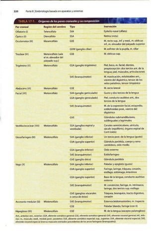Embriologia Lagman 11 Edicion