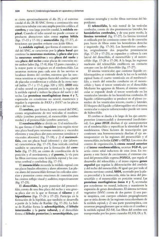 Embriologia Lagman 11 Edicion