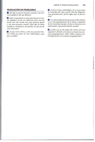 Embriologia Lagman 11 Edicion