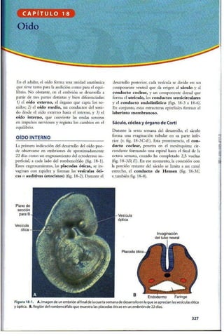 Embriologia Lagman 11 Edicion