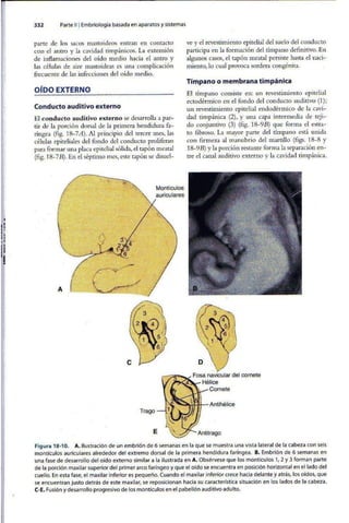 Embriologia Lagman 11 Edicion
