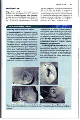 Embriologia Lagman 11 Edicion