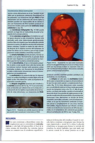 Embriologia Lagman 11 Edicion