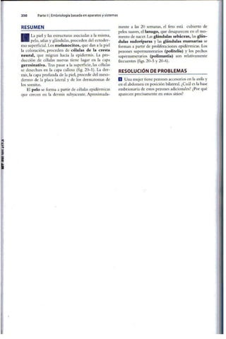 Embriologia Lagman 11 Edicion