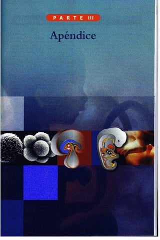 Embriologia Lagman 11 Edicion