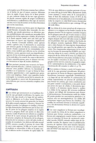 Embriologia Lagman 11 Edicion