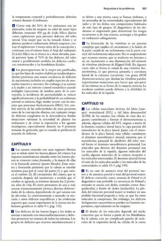 Embriologia Lagman 11 Edicion