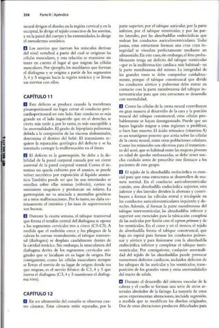 Embriologia Lagman 11 Edicion