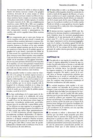 Embriologia Lagman 11 Edicion