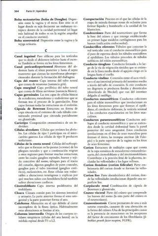 Embriologia Lagman 11 Edicion