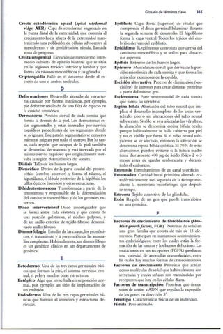 Embriologia Lagman 11 Edicion