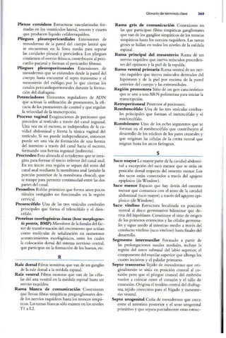 Embriologia Lagman 11 Edicion