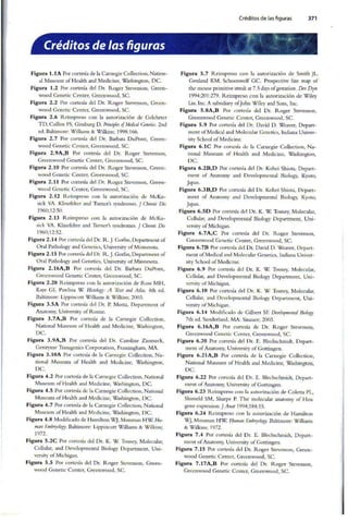 Embriologia Lagman 11 Edicion