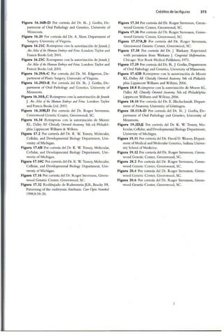 Embriologia Lagman 11 Edicion