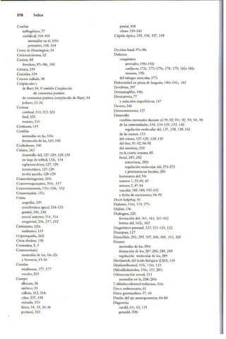 Embriologia Lagman 11 Edicion
