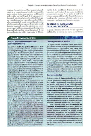 Embriologia Lagman 11 Edicion