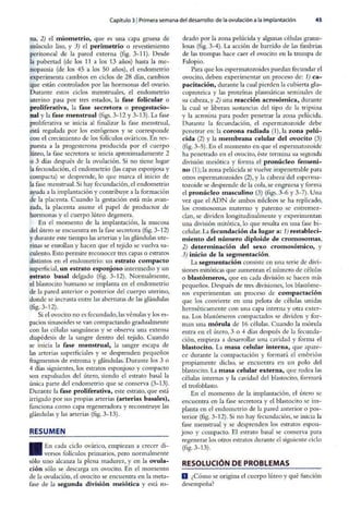 Embriologia Lagman 11 Edicion