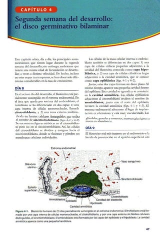 Embriologia Lagman 11 Edicion