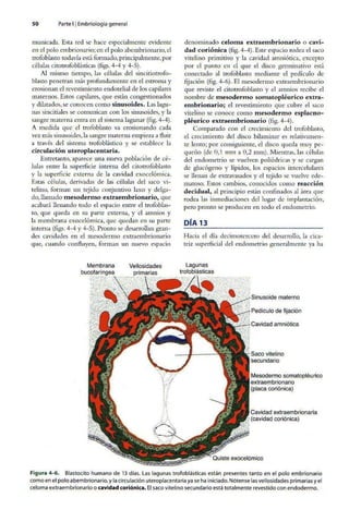 Embriologia Lagman 11 Edicion