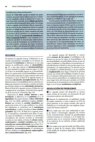 Embriologia Lagman 11 Edicion