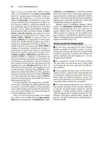 Embriologia Lagman 11 Edicion