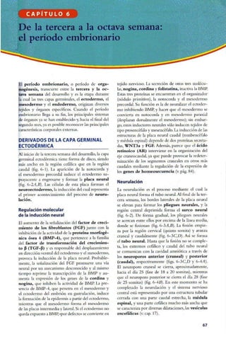 Embriologia Lagman 11 Edicion