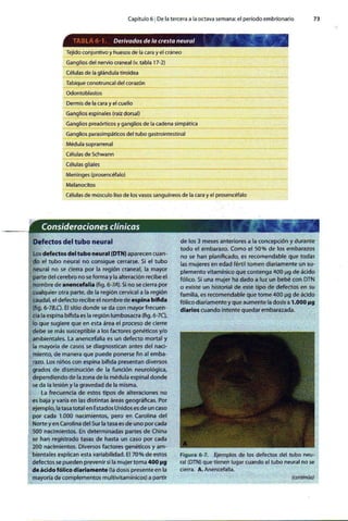 Embriologia Lagman 11 Edicion