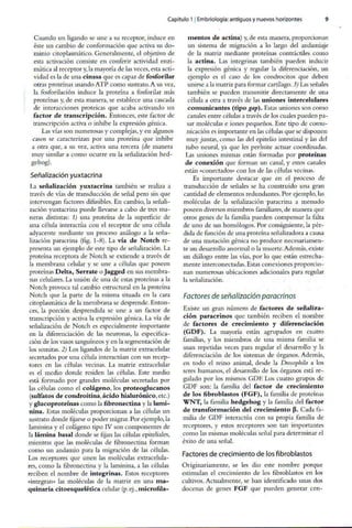 Embriologia Lagman 11 Edicion