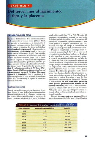 Embriologia Lagman 11 Edicion
