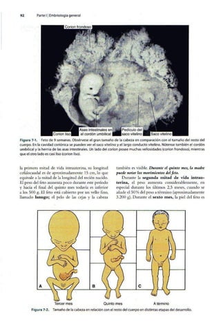 Embriologia Lagman 11 Edicion