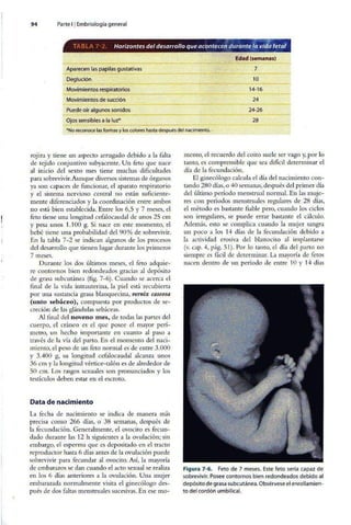 Embriologia Lagman 11 Edicion