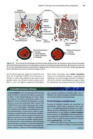 Embriologia Lagman 11 Edicion